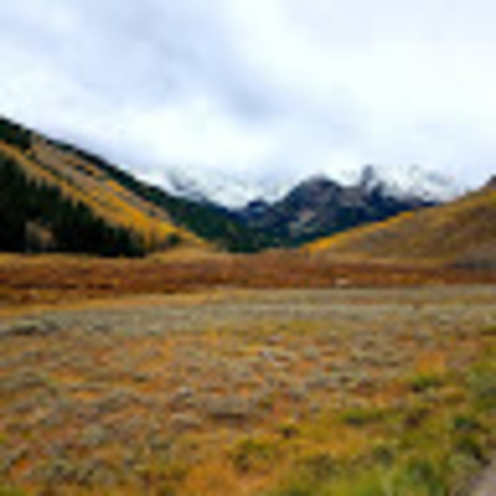 Meet your Posher, Bennett